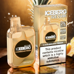 ICE CUBE 20mg 800puff ICEBERG